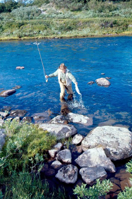 International Game Fish Association via Getty Images