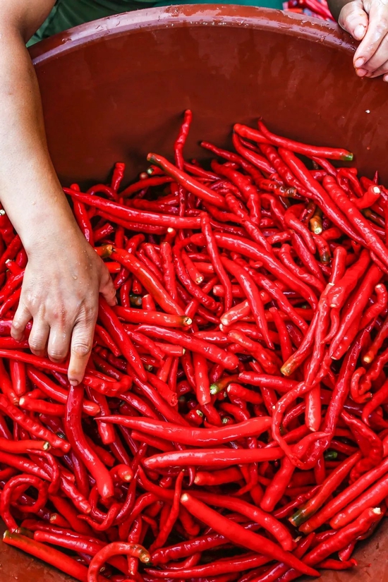 辣椒的火爆，是贵州人最熟悉的味道。 摄影/夏功文