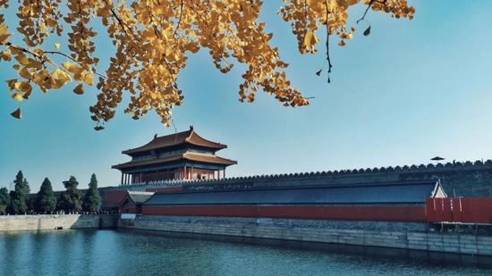 11月来了 有机会一定要去一次北京