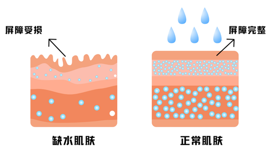 图源视觉中国，制作于canva