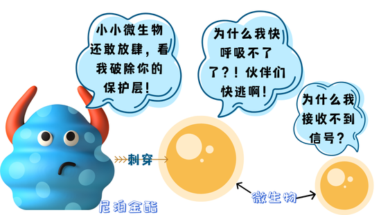 MISO Dental｜韩国进口 超细刷毛成人牙刷单入(多款随机出货/平行输入)