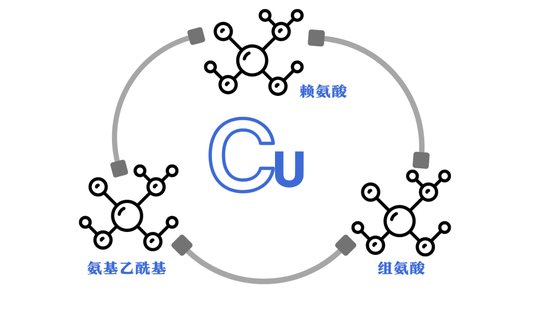 文字素材来源于canva