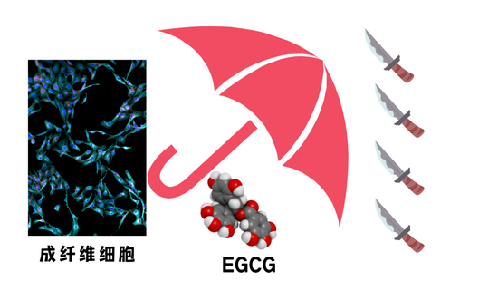 图源图虫，制作于canva，下同