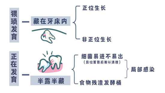 由canva制作