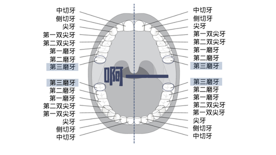 图源图虫创意 由canva制作