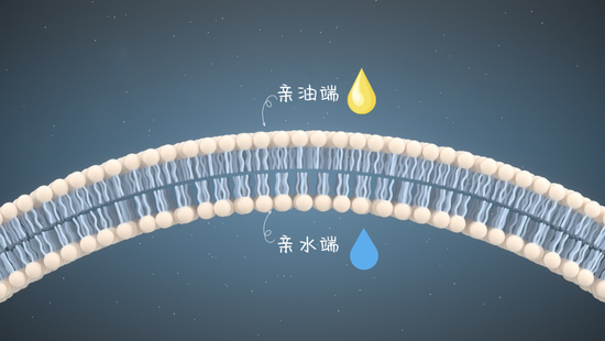 图源视觉中国,制作于可画