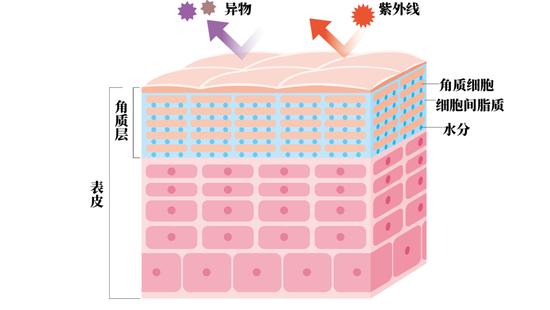 图源视觉中国，制作于可画