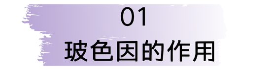 字体素材均来源于Canva（下同）