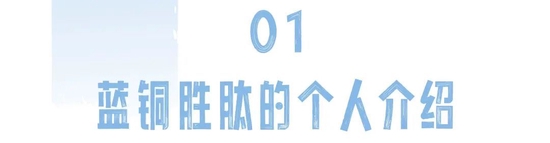 字体素材均来源于Canva(下同)