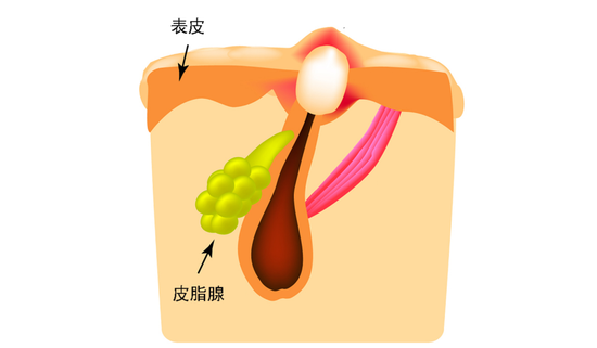 图源视觉中国