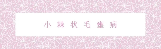 制作来自Canva