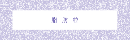 标题图制作来自Canva，下同