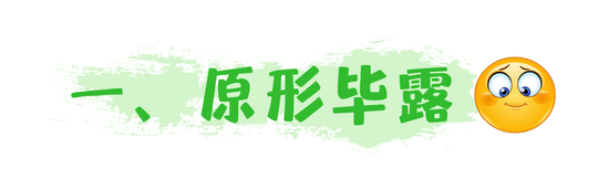 文字素材来源于canva,下文未标注同