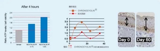 图源参考文献[1]