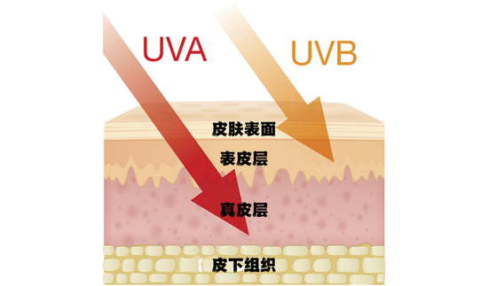 图源视觉中国，制作于Canva