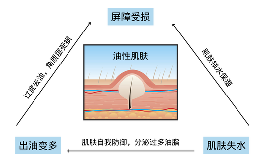 图源视觉中国，图片制作canva