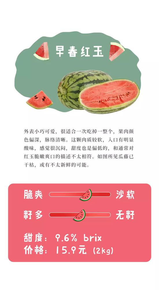 中国哪里的西瓜最好吃最全的测评在这儿 手机新浪网