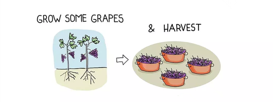 图片来源:Wine Folly