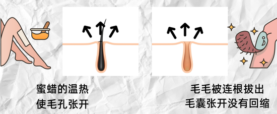 制图于canva