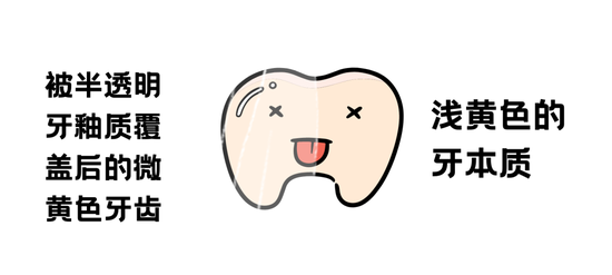口腔cr什么意思不想“老掉牙”？那这些关键点要从现在抓起啦！_https://www.jmylbn.com_新闻资讯_第8张