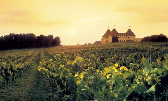 　图片来源：loirevalleywine.com