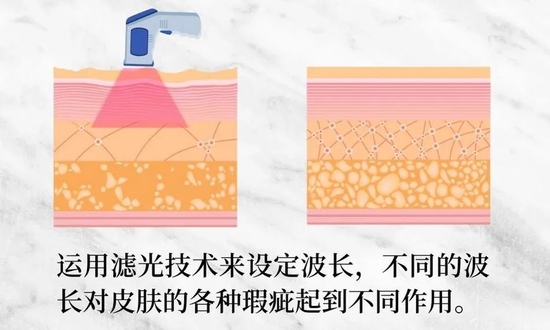 cr：图虫创意，制图于canva，下同