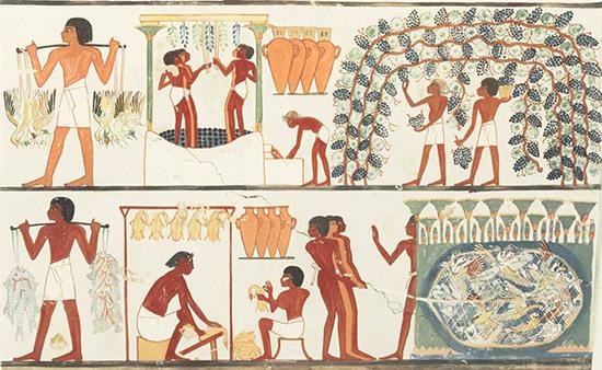 记录有埃及人酿葡萄酒的壁画