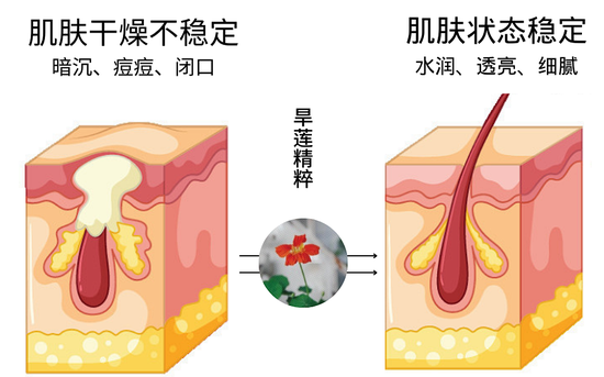 cr：官方、图虫，canva制作