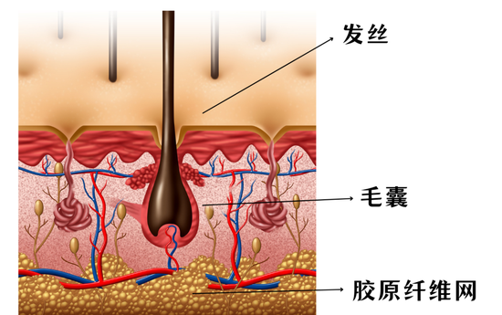图源视觉中国,制作于canva