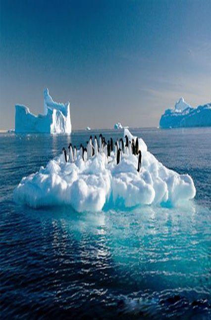 南极旅行 图片来源自i.pinimg.com