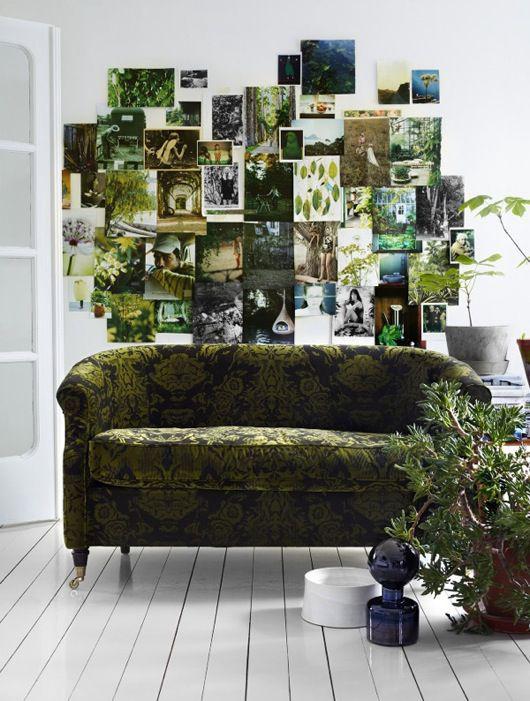 绿色植物墙面装饰 图片来源自pinterest