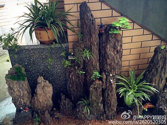 假山盆栽 图片来源自微博