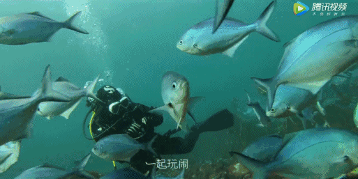 (图片来源@潜行天下)