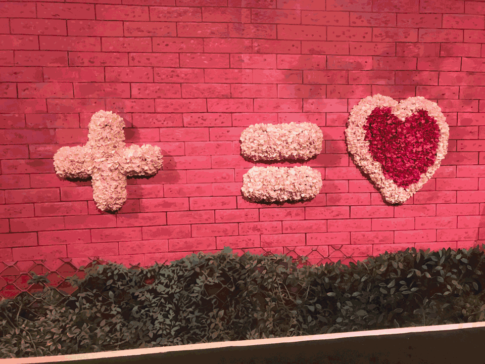 一站到底拍遍八国网红墙