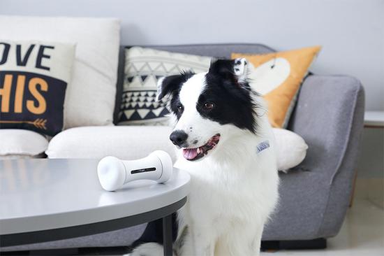 Cheerble Technology推出的智能宠物狗玩具Wickedbone