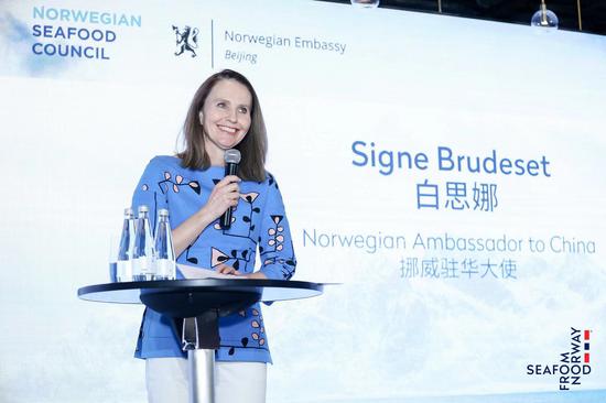 挪威驻华大使白思娜女士莅临活动现场并发表欢迎致辞