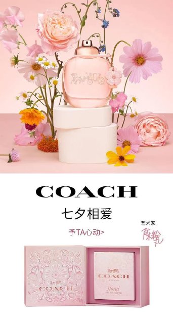 㸡 COACHա簮޶Ϧʢ