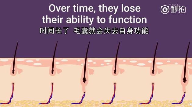 图片源于：环球时报秒拍视频截图