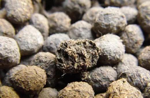 所以如果哪位中医给你配了这个药,你找个放大镜仔细观察,会发现小颗粒