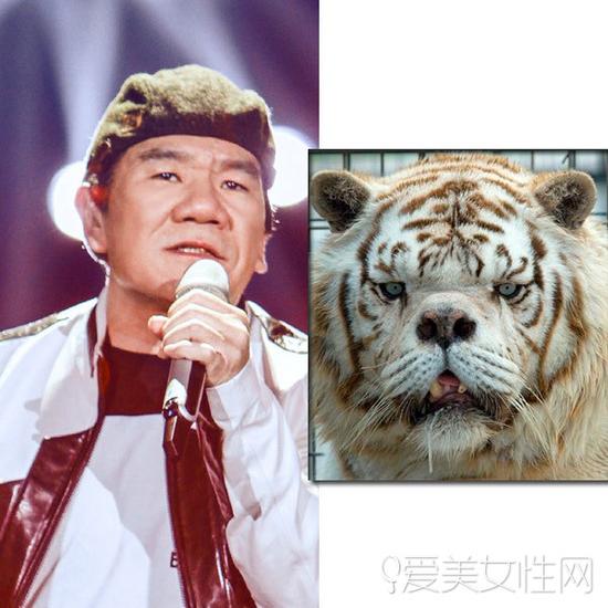 赵传vs老虎