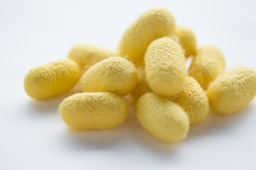 专为cpb研发的铂金金蚕丝