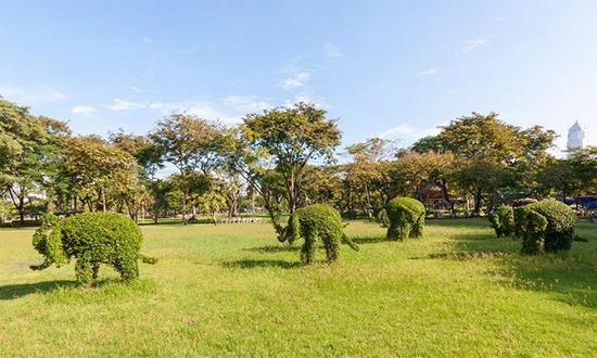曼谷的鲁比尼公园里修剪成大象模样的植物。图片来源：Alamy