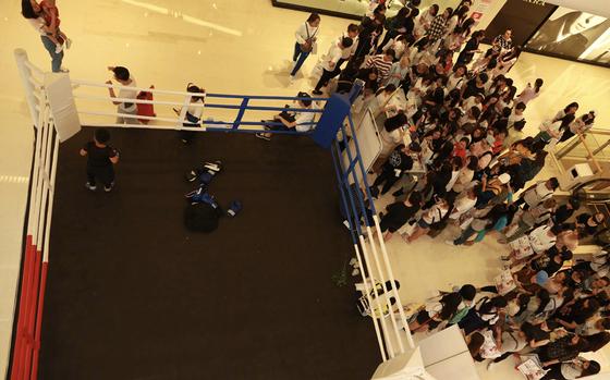 拳击擂台环节人气火爆