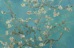 梵高生命中三个最重要的女人