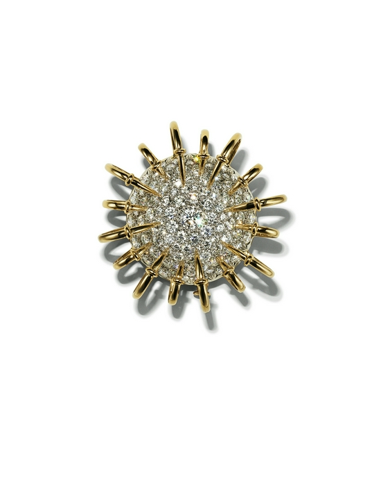 Tiffany & Co. 蒂芙尼Schlumberger® 高级珠宝系列铂金及18K黄金镶钻Apollo胸针