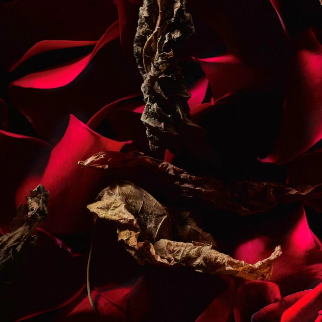 全新YSL圣罗兰高定衣典香水—红丝绒 产品原料图