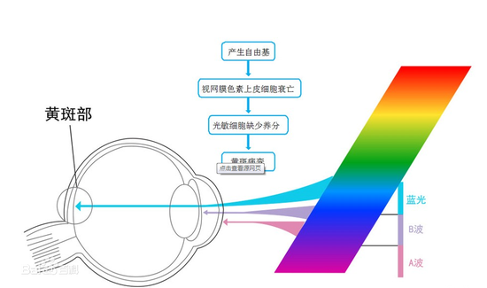 电子产品蓝光会使眼睛内的黄斑区毒素量增高