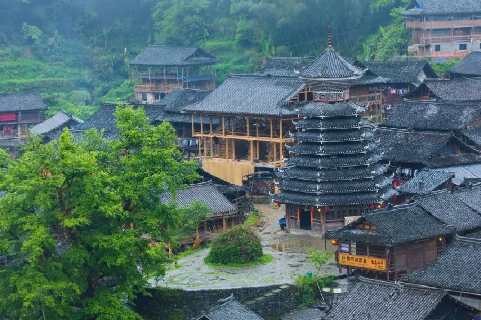 中国人不吃蜗牛原因 非洲大蜗牛为何上黑名单