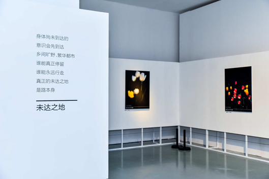 华为P40系列联手今日美术馆 开启“超感知影像”艺术盛宴