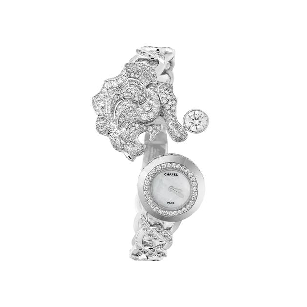 Montre_Protective J62837